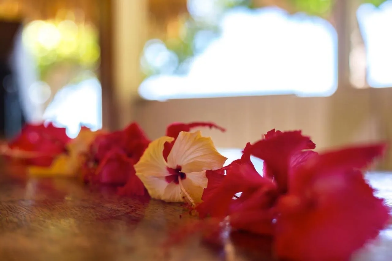 Hytte Fare Edith Moorea Haapiti